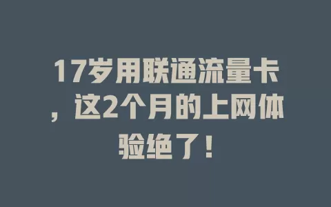 17岁用联通流量卡，这2个月的上网体验绝了！