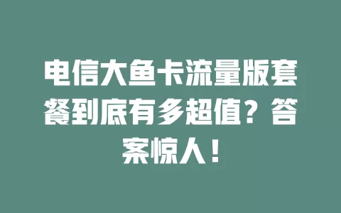 电信大鱼卡流量版套餐到底有多超值？答案惊人！