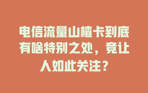 电信流量山楂卡到底有啥特别之处，竟让人如此关注？