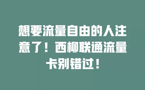 想要流量自由的人注意了！西柳联通流量卡别错过！