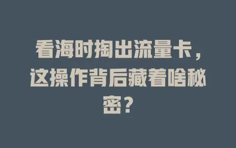 看海时掏出流量卡，这操作背后藏着啥秘密？