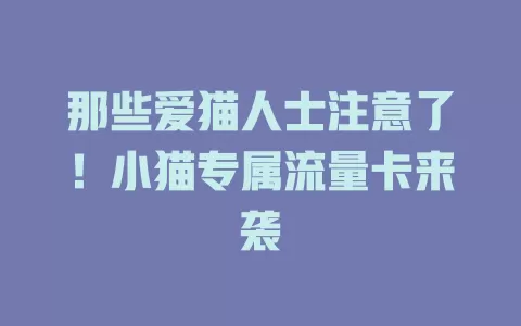 那些爱猫人士注意了！小猫专属流量卡来袭