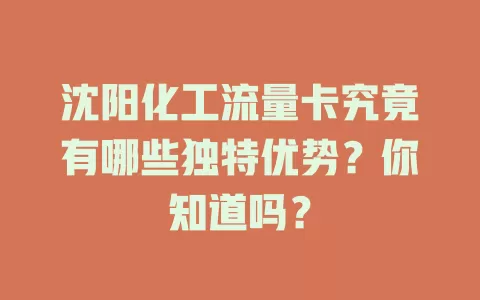 沈阳化工流量卡究竟有哪些独特优势？你知道吗？
