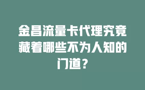 金昌流量卡代理究竟藏着哪些不为人知的门道？