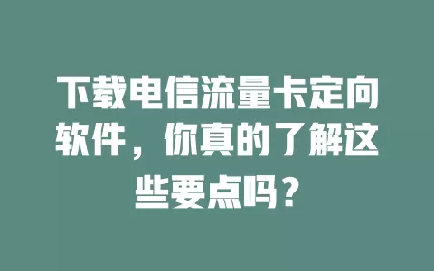 下载电信流量卡定向软件，你真的了解这些要点吗？