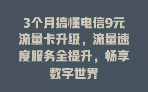 3个月搞懂电信9元流量卡升级，流量速度服务全提升，畅享数字世界