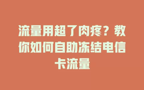 流量用超了肉疼？教你如何自助冻结电信卡流量