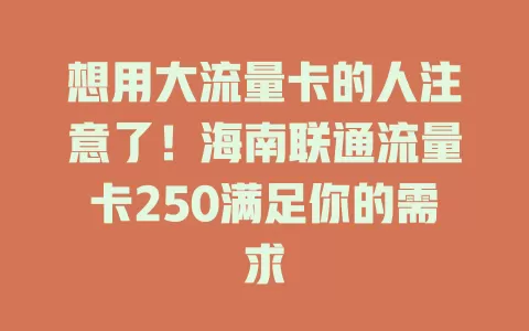 想用大流量卡的人注意了！海南联通流量卡250满足你的需求