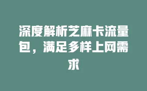 深度解析芝麻卡流量包，满足多样上网需求