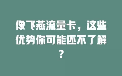 像飞燕流量卡，这些优势你可能还不了解？