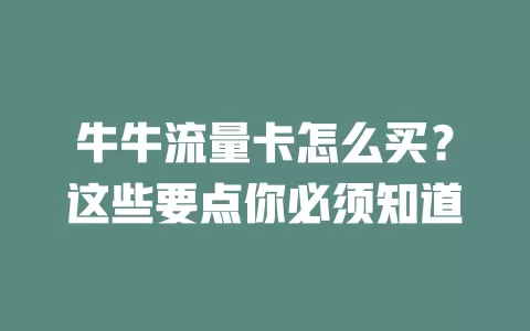 牛牛流量卡怎么买？这些要点你必须知道