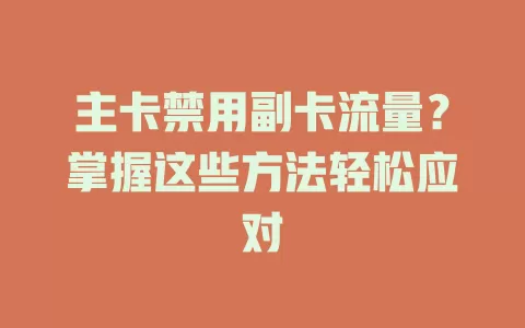 主卡禁用副卡流量？掌握这些方法轻松应对