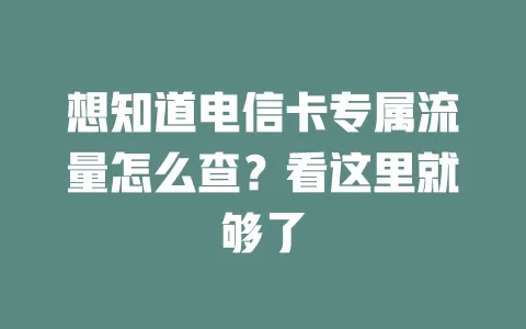 想知道电信卡专属流量怎么查？看这里就够了
