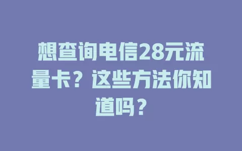 想查询电信28元流量卡？这些方法你知道吗？