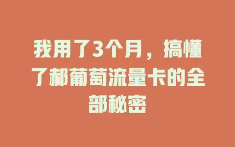 我用了3个月，搞懂了郝葡萄流量卡的全部秘密