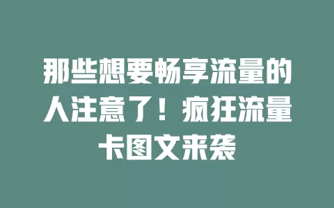那些想要畅享流量的人注意了！疯狂流量卡图文来袭