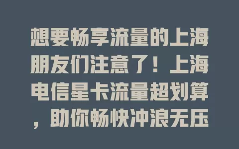想要畅享流量的上海朋友们注意了！上海电信星卡流量超划算，助你畅快冲浪无压力！