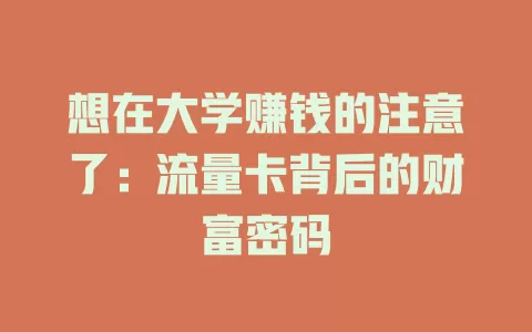 想在大学赚钱的注意了：流量卡背后的财富密码
