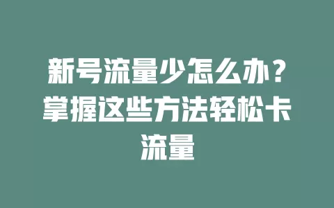 新号流量少怎么办？掌握这些方法轻松卡流量