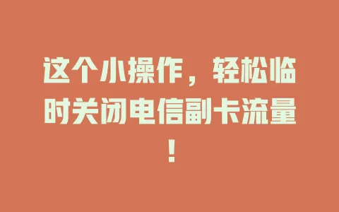 这个小操作，轻松临时关闭电信副卡流量！