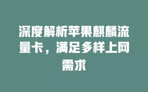 深度解析苹果麒麟流量卡，满足多样上网需求
