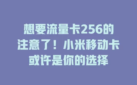 想要流量卡256的注意了！小米移动卡或许是你的选择