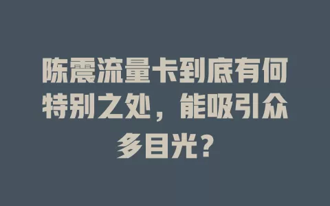 陈震流量卡到底有何特别之处，能吸引众多目光？