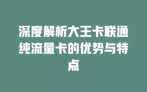 深度解析大王卡联通纯流量卡的优势与特点