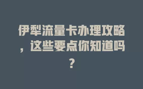伊犁流量卡办理攻略，这些要点你知道吗？