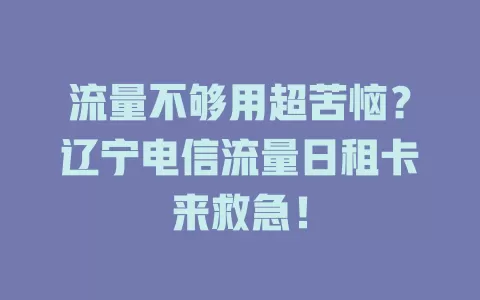 流量不够用超苦恼？辽宁电信流量日租卡来救急！