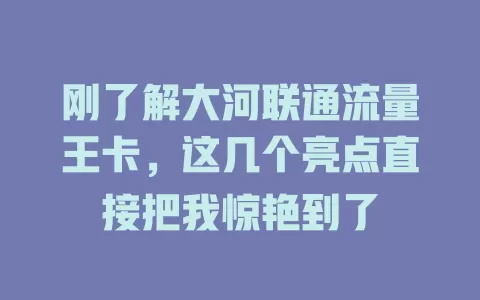 刚了解大河联通流量王卡，这几个亮点直接把我惊艳到了