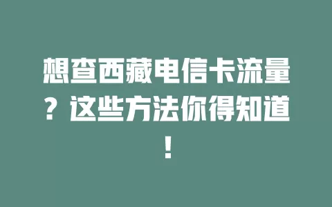 想查西藏电信卡流量？这些方法你得知道！