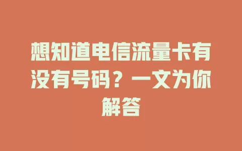 想知道电信流量卡有没有号码？一文为你解答