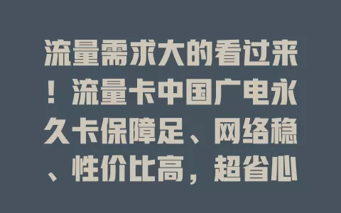 流量需求大的看过来！流量卡中国广电永久卡保障足、网络稳、性价比高，超省心！