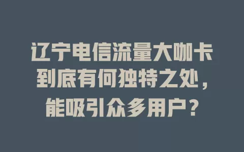 辽宁电信流量大咖卡到底有何独特之处，能吸引众多用户？