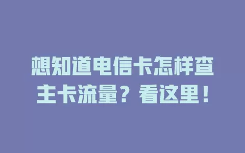 想知道电信卡怎样查主卡流量？看这里！