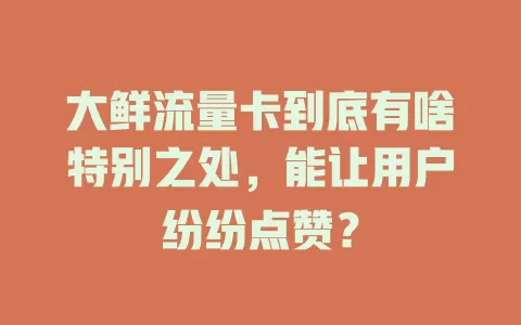 大鲜流量卡到底有啥特别之处，能让用户纷纷点赞？
