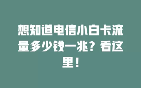 想知道电信小白卡流量多少钱一兆？看这里！