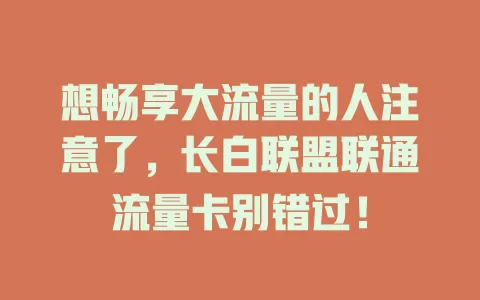 想畅享大流量的人注意了，长白联盟联通流量卡别错过！