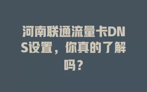 河南联通流量卡DNS设置，你真的了解吗？