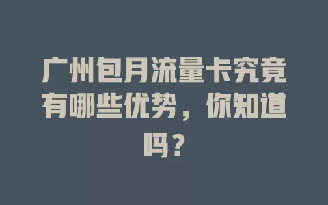 广州包月流量卡究竟有哪些优势，你知道吗？