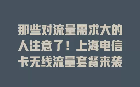 那些对流量需求大的人注意了！上海电信卡无线流量套餐来袭