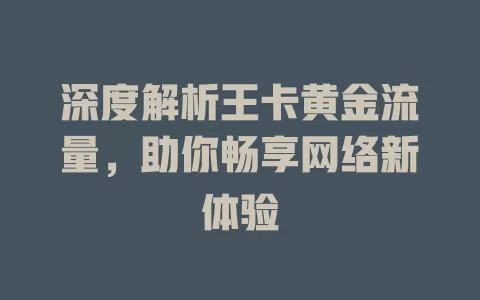 深度解析王卡黄金流量，助你畅享网络新体验