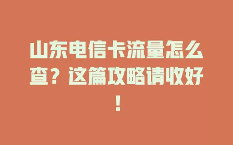 山东电信卡流量怎么查？这篇攻略请收好！