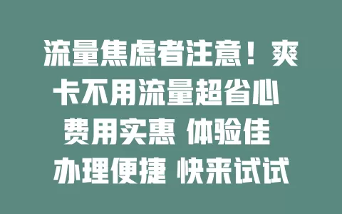 流量焦虑者注意！爽卡不用流量超省心 费用实惠 体验佳 办理便捷 快来试试