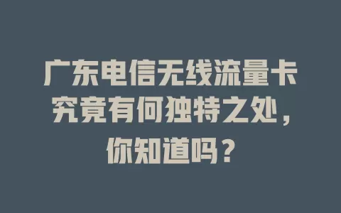 广东电信无线流量卡究竟有何独特之处，你知道吗？