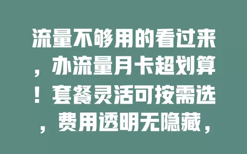 流量不够用的看过来，办流量月卡超划算！套餐灵活可按需选，费用透明无隐藏，办理便捷能随时调，花小钱享畅快网络，赶紧办卡开启轻松上网之旅！