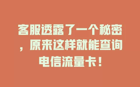 客服透露了一个秘密，原来这样就能查询电信流量卡！