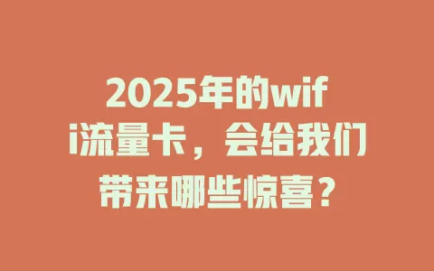 2025年的wifi流量卡，会给我们带来哪些惊喜？