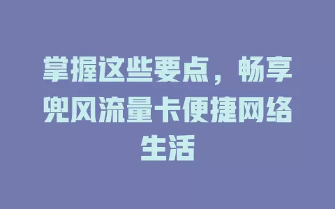 掌握这些要点，畅享兜风流量卡便捷网络生活
